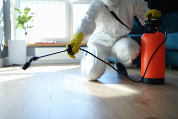 Reliable Odor Removal contractor in Empire, CO by Trauma Clean Pros